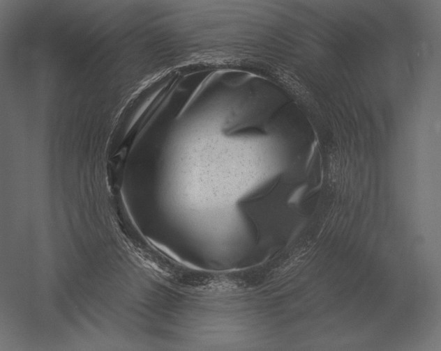 X0000051270256200507011752