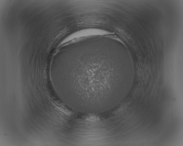 X0000051270258200507011752
