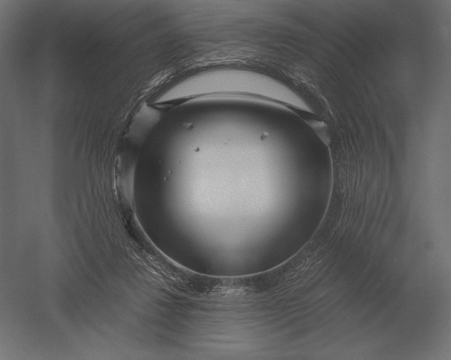 X0000051270260200507011752