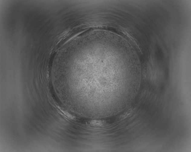 X0000051270261200507011752