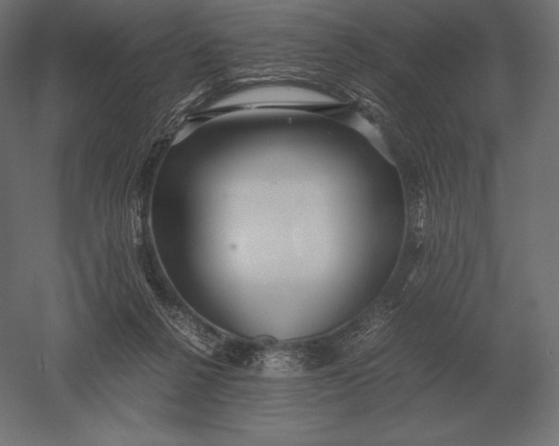 X0000051270264200507011752