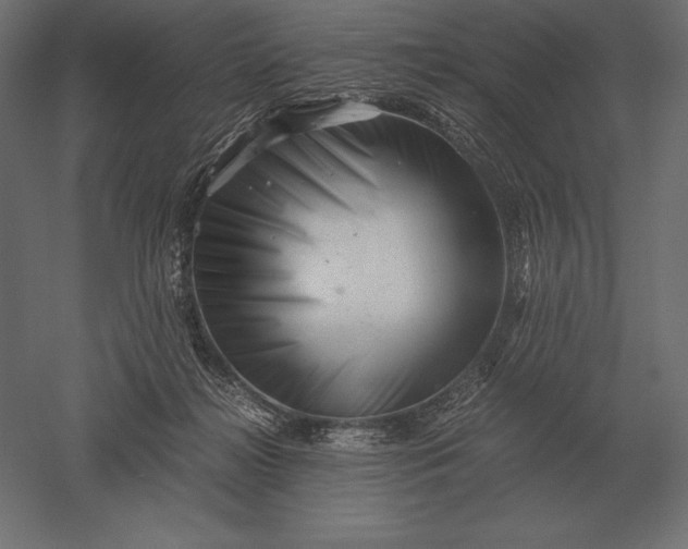 X0000051270268200507011752