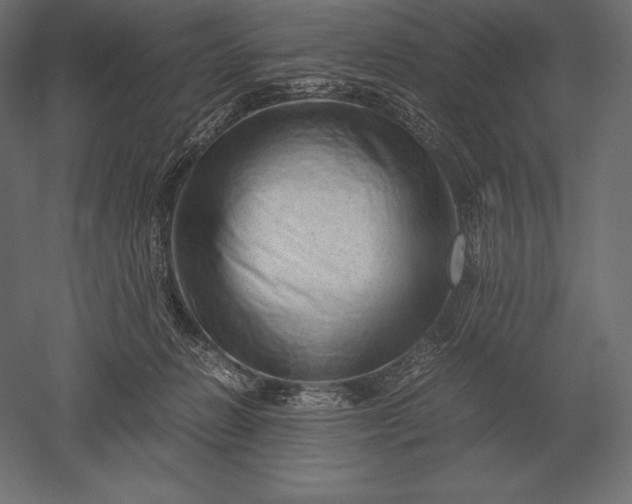 X0000051270270200507011752
