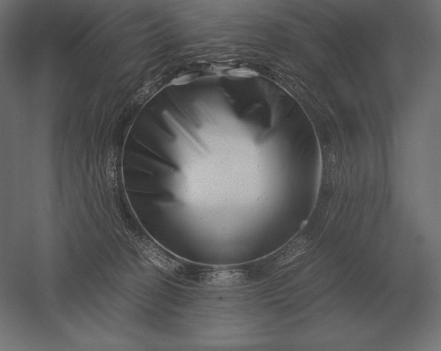 X0000051270274200507011753