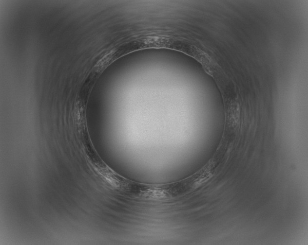 X0000051270276200507011753