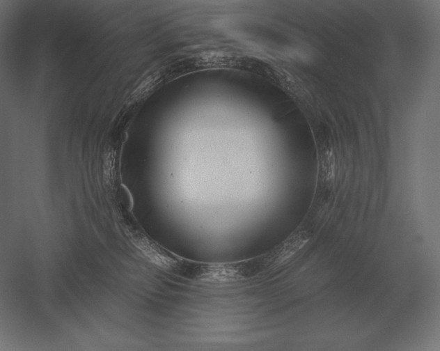 X0000051270278200507011753