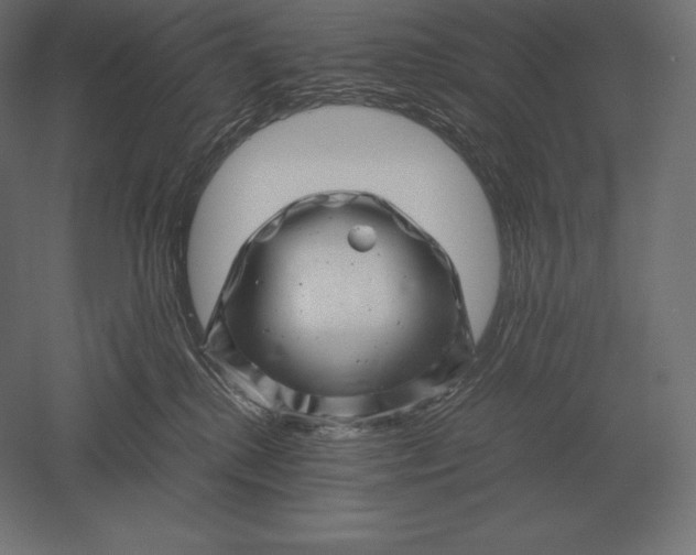 X0000051270280200507011753