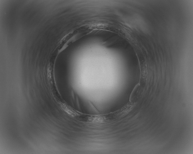 X0000051270282200507011753