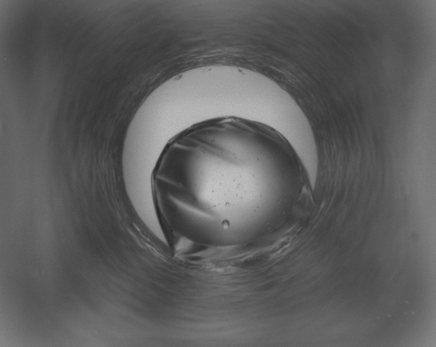 X0000051270284200507011753
