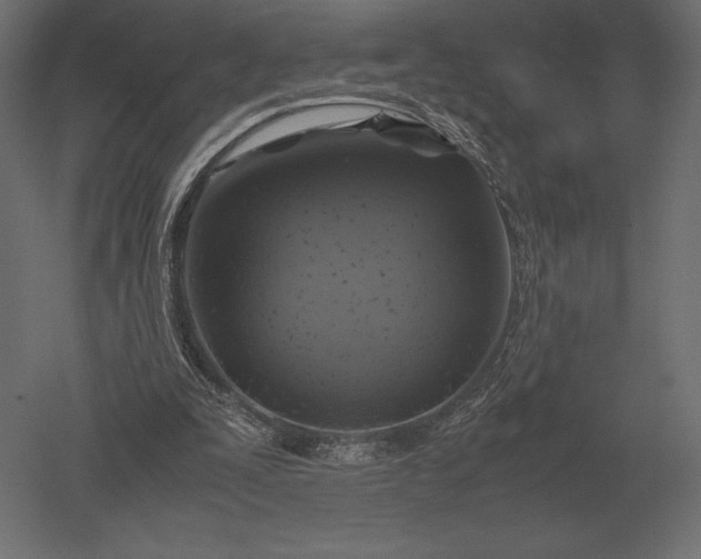 X0000051270295200507011752