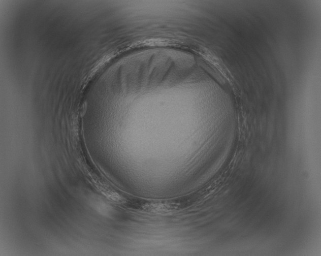 X0000051270297200507011752