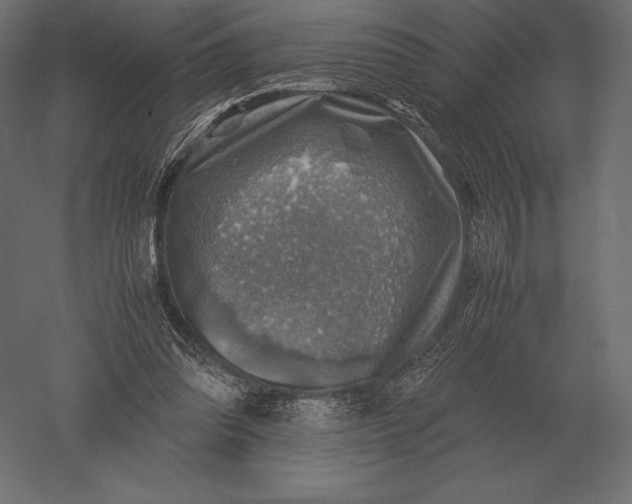 X0000051270302200507011752