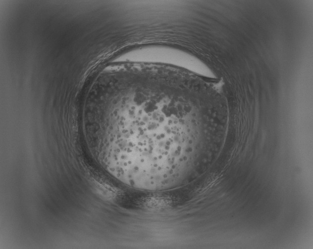X0000051270303200507011752