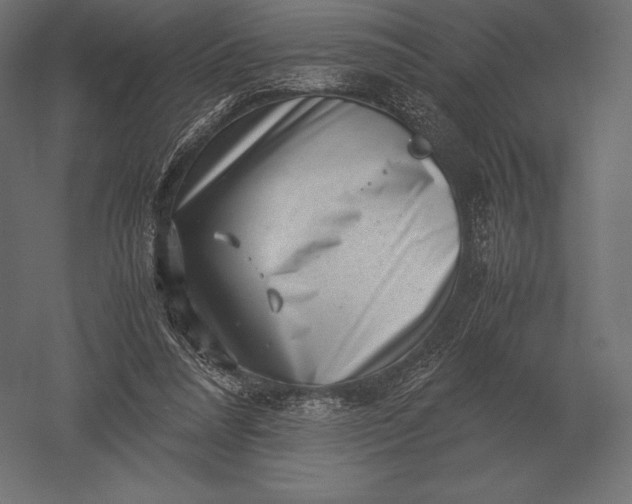 X0000051270304200507011752