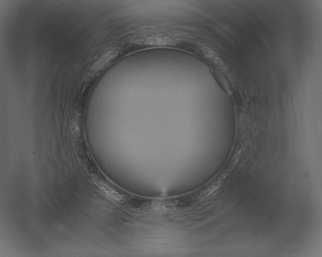 X0000051270305200507011752