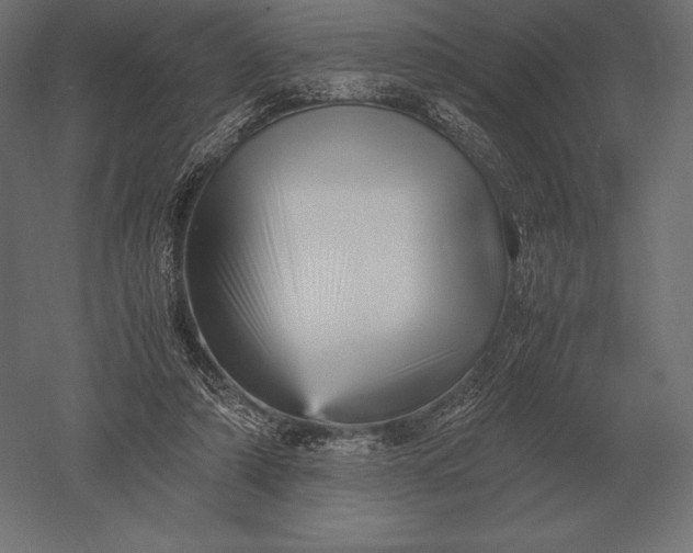 X0000051270306200507011752