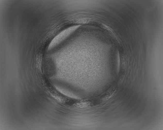 X0000051270307200507011752