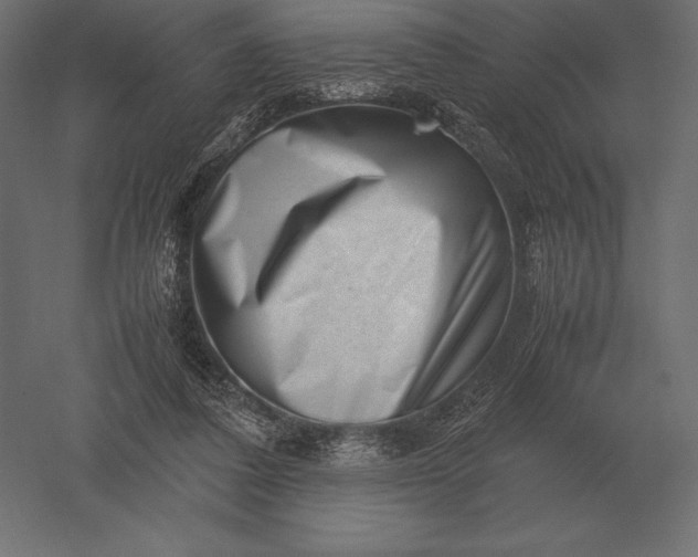 X0000051270308200507011752