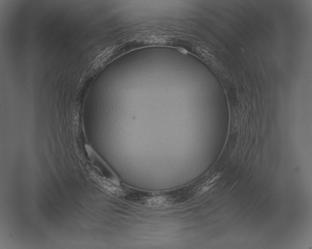 X0000051270309200507011752
