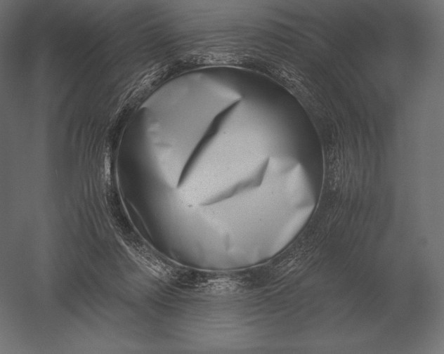 X0000051270310200507011752