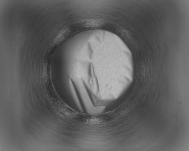 X0000051270312200507011752