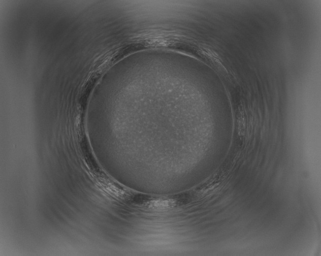 X0000051270314200507011752