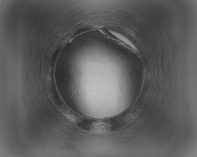X0000051270315200507011751