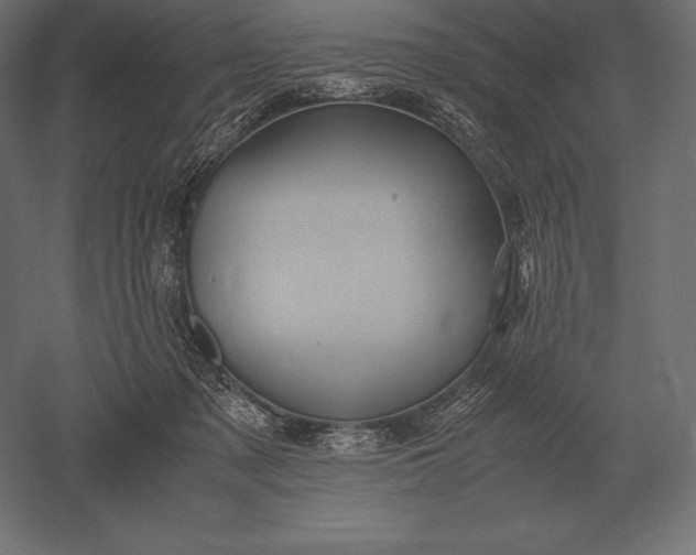 X0000051270317200507011751