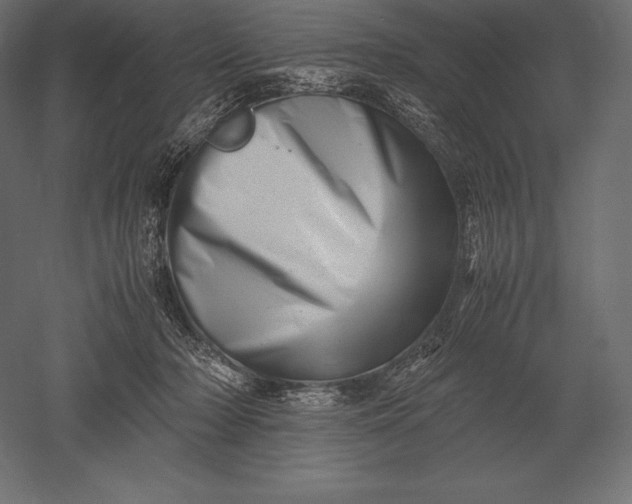 X0000051270318200507011751