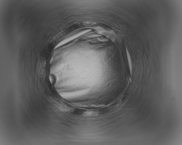X0000051270319200507011751