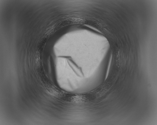 X0000051270320200507011751