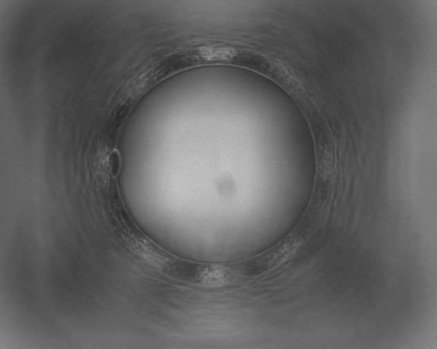X0000051270321200507011751