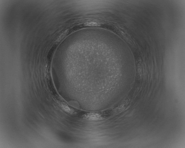 X0000051270322200507011751