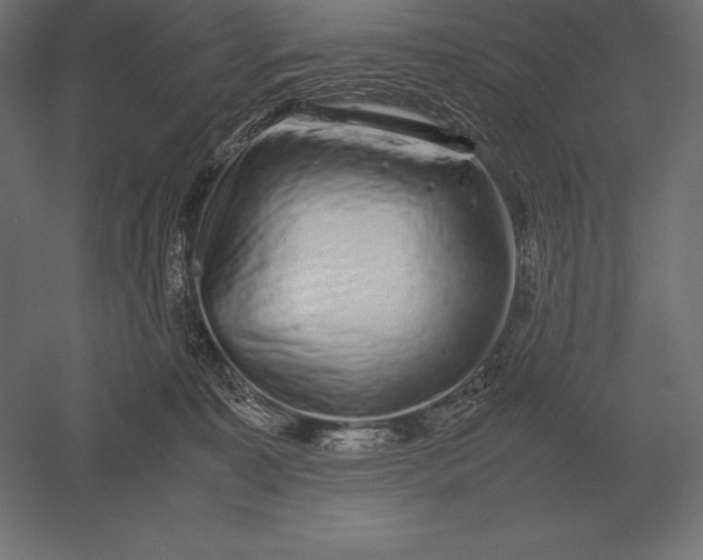 X0000051270323200507011751