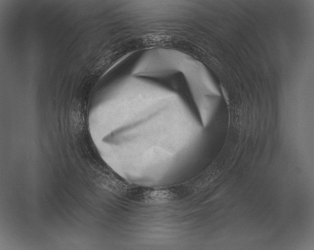 X0000051270324200507011751