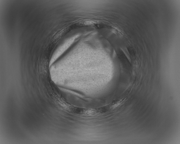 X0000051270325200507011751