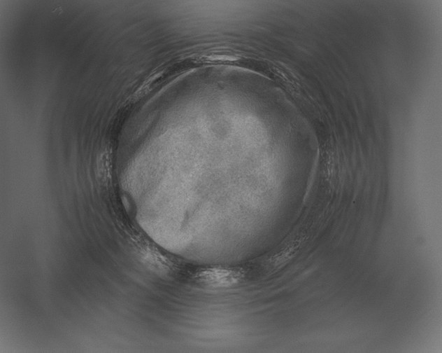 X0000051270326200507011751