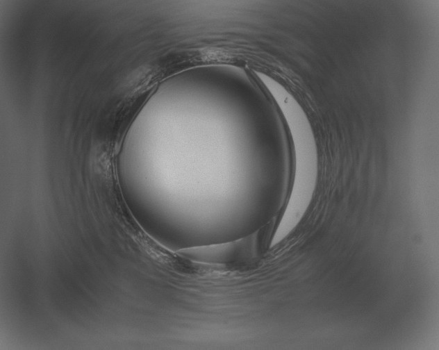 X0000051270329200507011751
