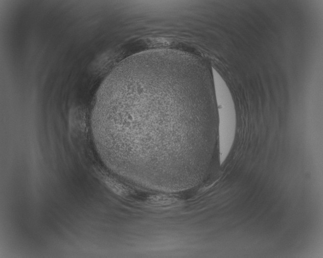 X0000051270331200507011751