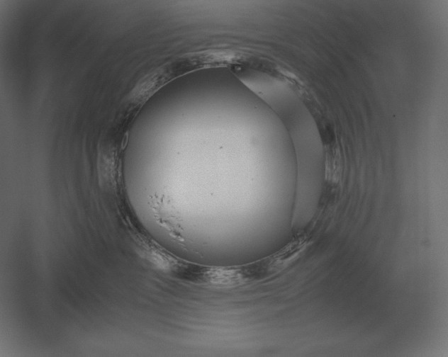 X0000051270333200507011751