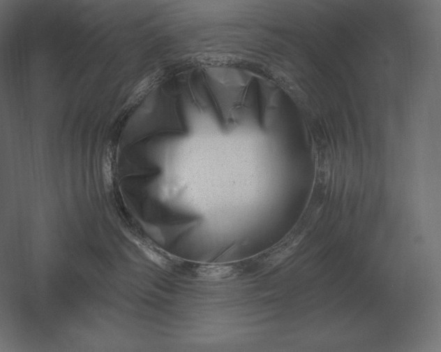 X0000051270334200507011751