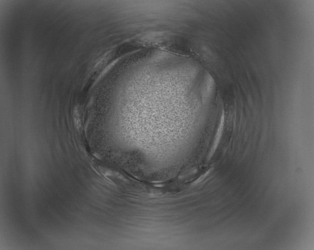 X0000051270335200507011751