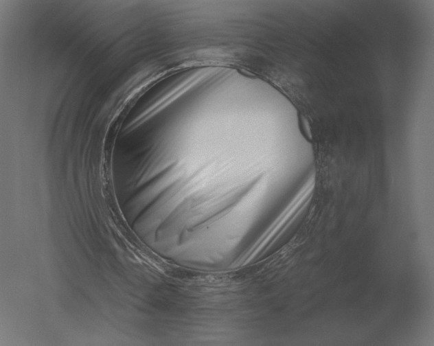 X0000051270338200507011750