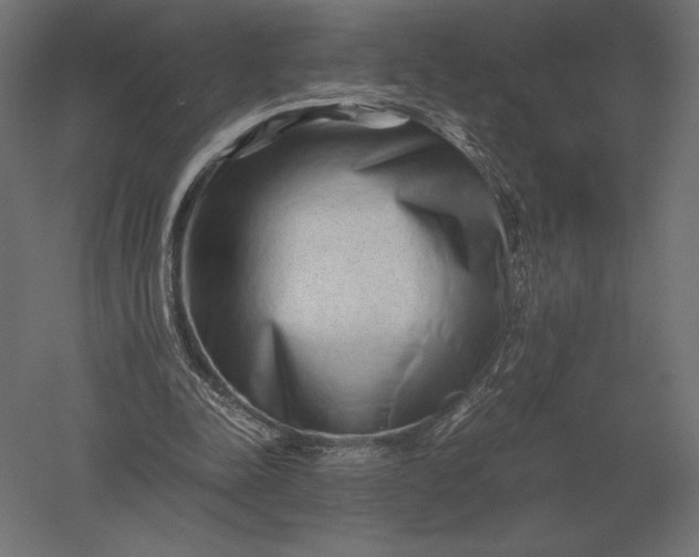X0000051270342200507011750