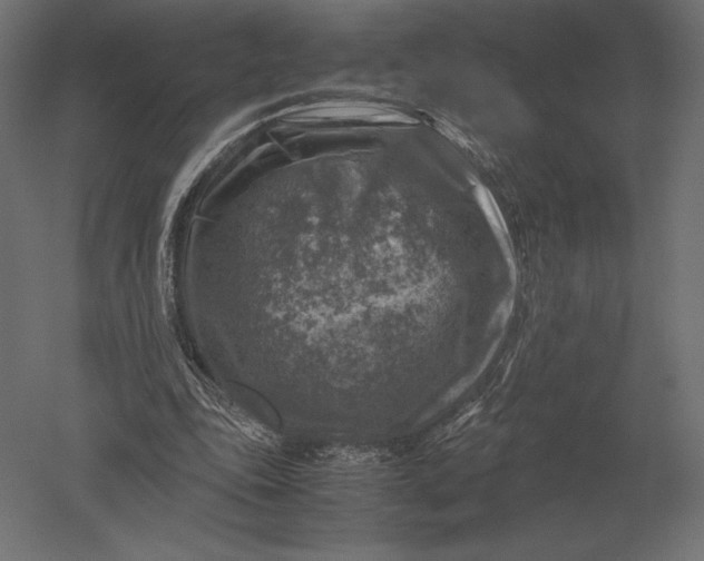 X0000051270343200507011750