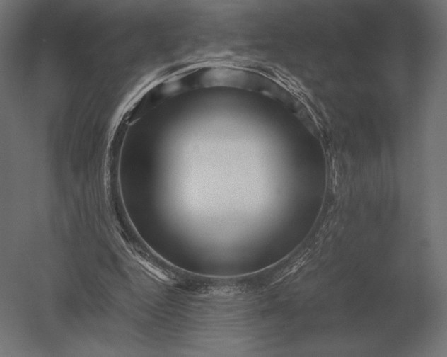 X0000051270344200507011750