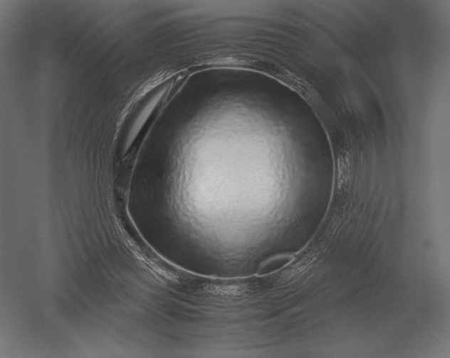 X0000051270349200507011751