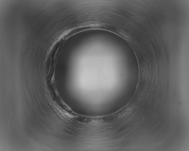 X0000051270350200507011751