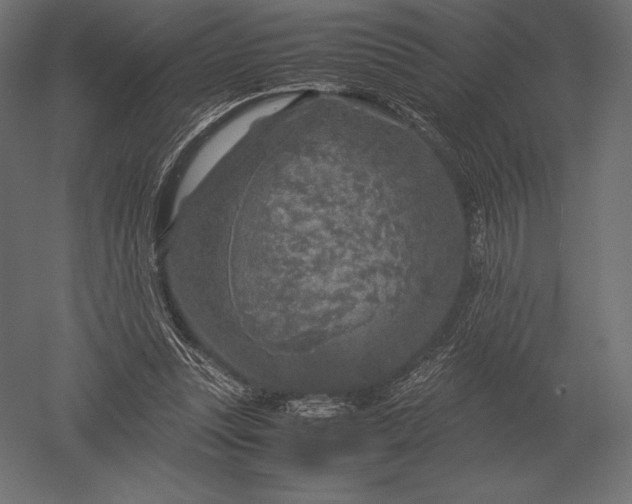 X0000051270351200507011751