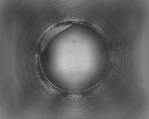 X0000051270352200507011751